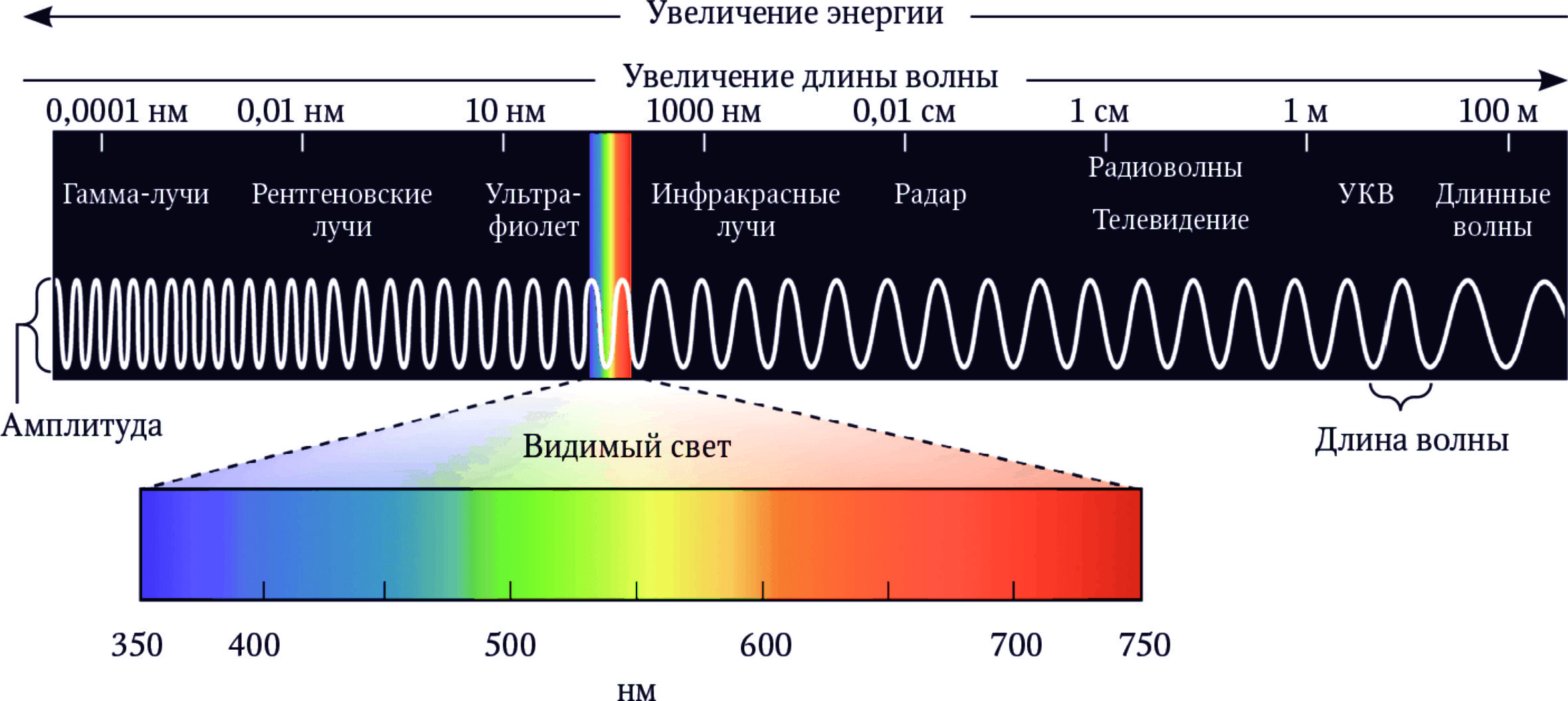 Электромагнитный источник света. Длины волн видимого спектра. Диапазон волн длин волн видимой части спектра. Электромагнитный спектр с длинами волн. Видимый спектр излучения радиации.