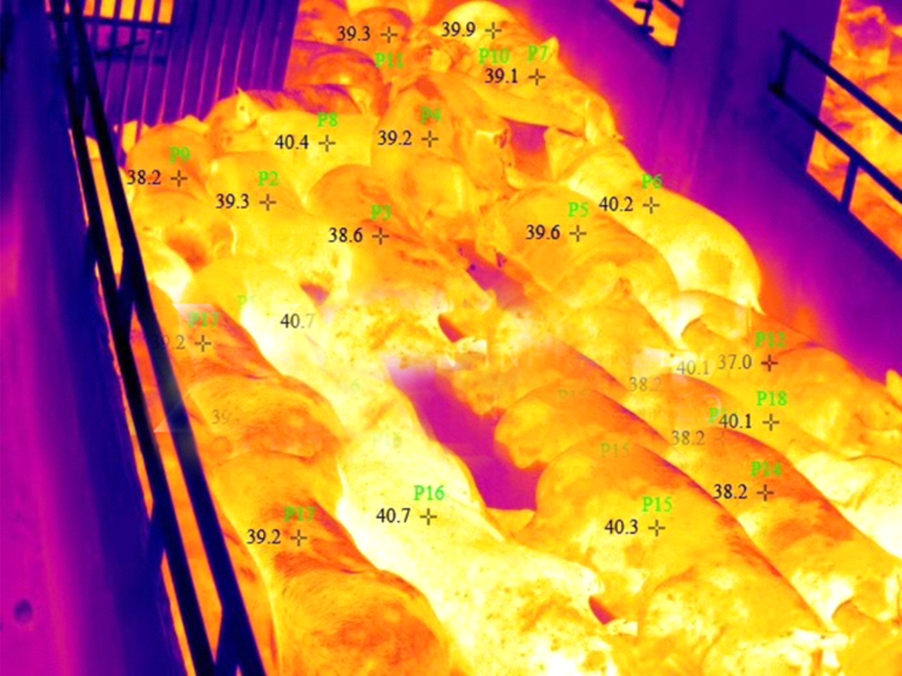 Пример изображения, полученного при помощи термографической тепловизионной камеры EF-02